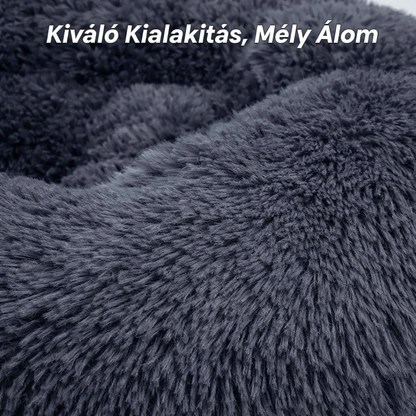 Felhő Ágy – Mert Kedvenced Megérdemli A Kényelmet