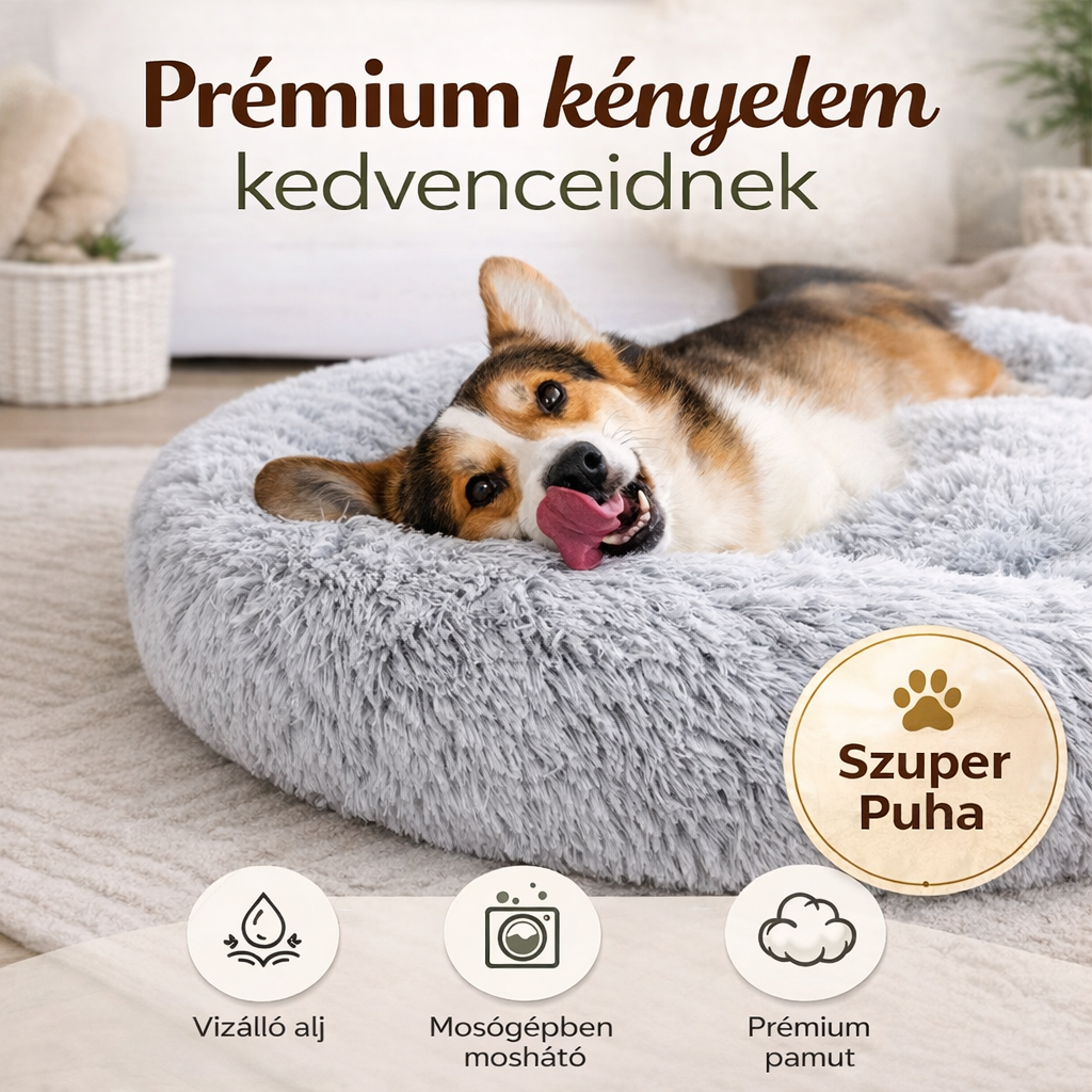 Felhő Ágy – Mert Kedvenced Megérdemli A Kényelmet