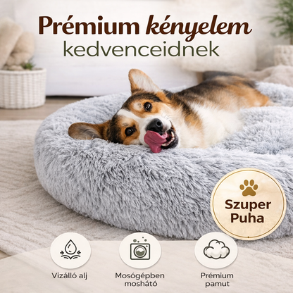 Felhő Ágy – Mert Kedvenced Megérdemli A Kényelmet