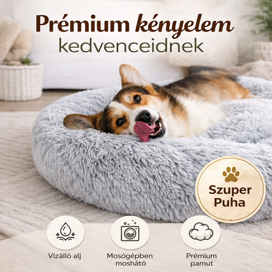 Felhő Ágy – Mert Kedvenced Megérdemli A Kényelmet