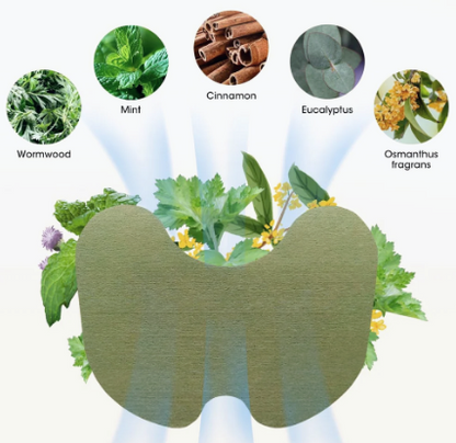 HerbaPatch - Természetes Megoldás A Mindennapi Komfortért