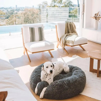 Felhő Ágy – Mert Kedvenced Megérdemli A Kényelmet